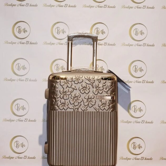 حقيبة حجم صغير